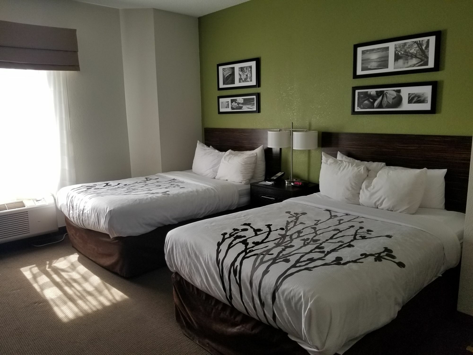 Sleep Inn Walterboro I-95 Εξωτερικό φωτογραφία