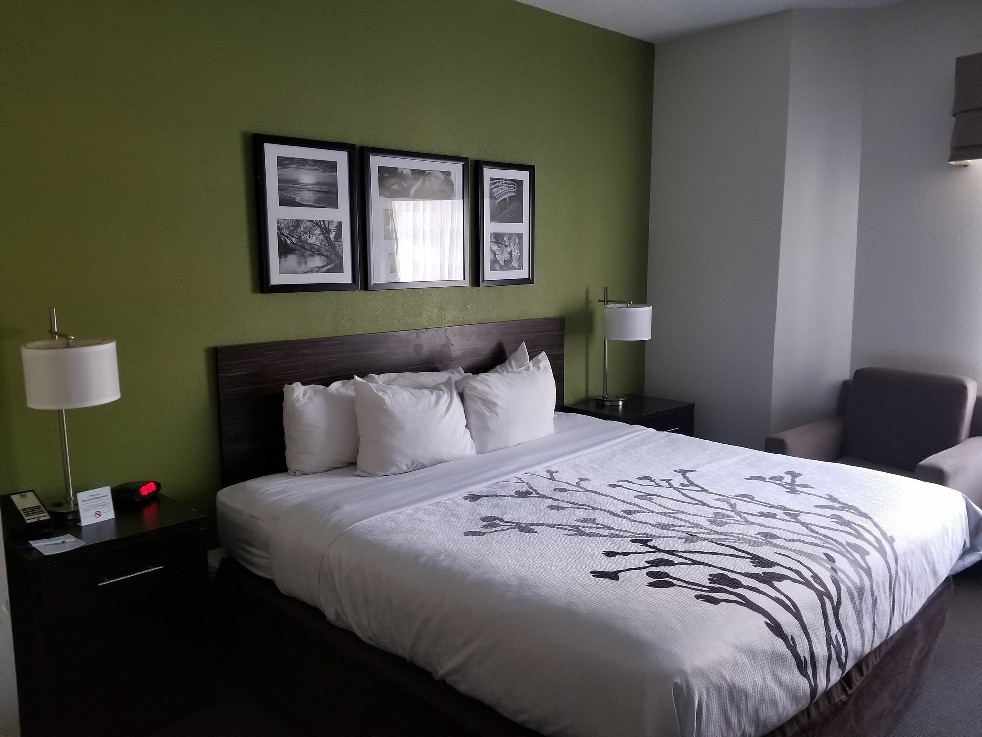 Sleep Inn Walterboro I-95 Εξωτερικό φωτογραφία